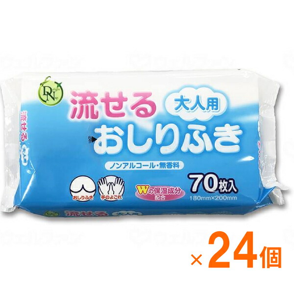 【マラソン限定P2倍】( 1ケース ) 24袋 トイレに流せるタイプ 大人用流せるおしりふき 70枚 ノンアルコール 無香料 大一紙工 ( ポップアップ式 不織布 清拭 おむつ交換時 お手拭き 身体拭き ) 介護用品｜介護用品専門店　まごころショップ