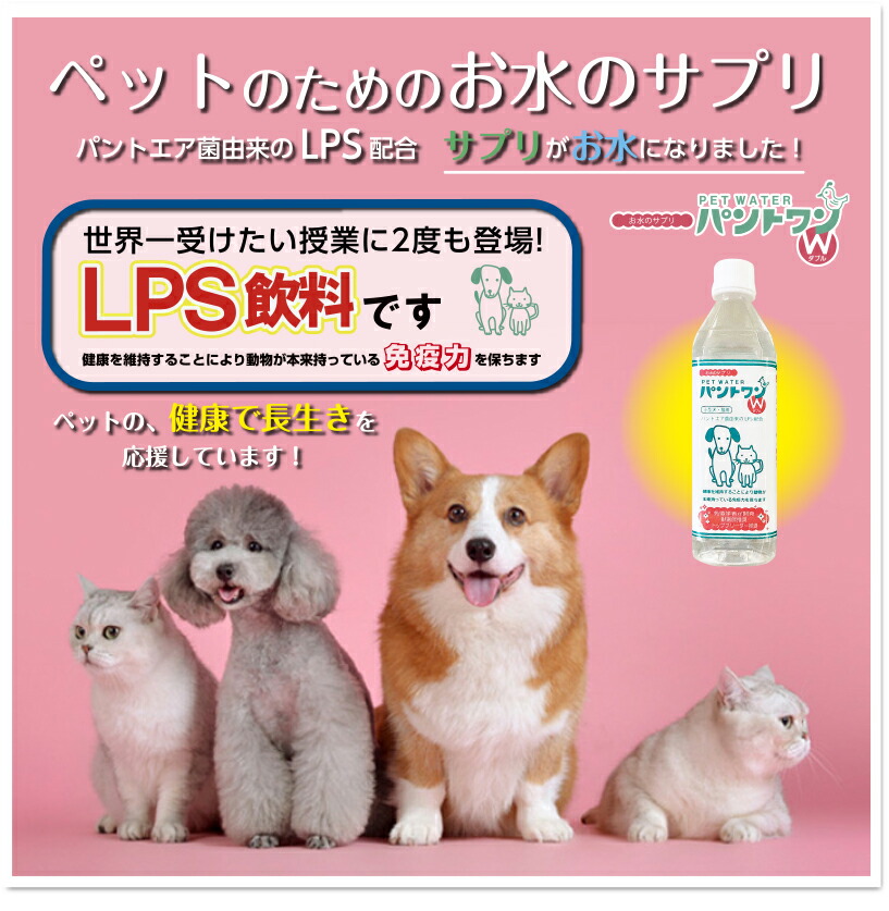 【定期購入】【送料無料】パントワン48本 愛犬・愛猫用飲料水（パントワンＷ）猫の水 犬の水 LPS ペットフード リポポリサッカライド ペットの水 猫専用水 犬専用水：美容と健康の総合ショップエキフ店