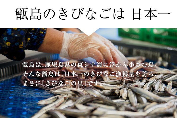 楽天市場 送料無料 ギフト 甑島のきびなご塩干し 500g 鹿児島産 国産 こしき島 こしきしま 塩干 天日干し 干物 おつまみ キビナゴ 冷凍 ギフト 贈答 上甑島 漁師の約束 贈り物 お土産 薩摩川内webショップ 薩摩國