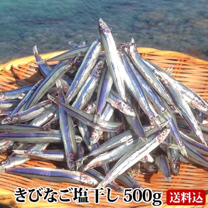 楽天市場 送料無料 ギフト 甑島のきびなご塩干し 1kg 500g 2 鹿児島産 国産 こしき島 こしきしま 塩干 天日干し 干物 キビナゴ 冷凍 贈答 漁師の約束 贈り物 お土産 薩摩川内webショップ 薩摩國