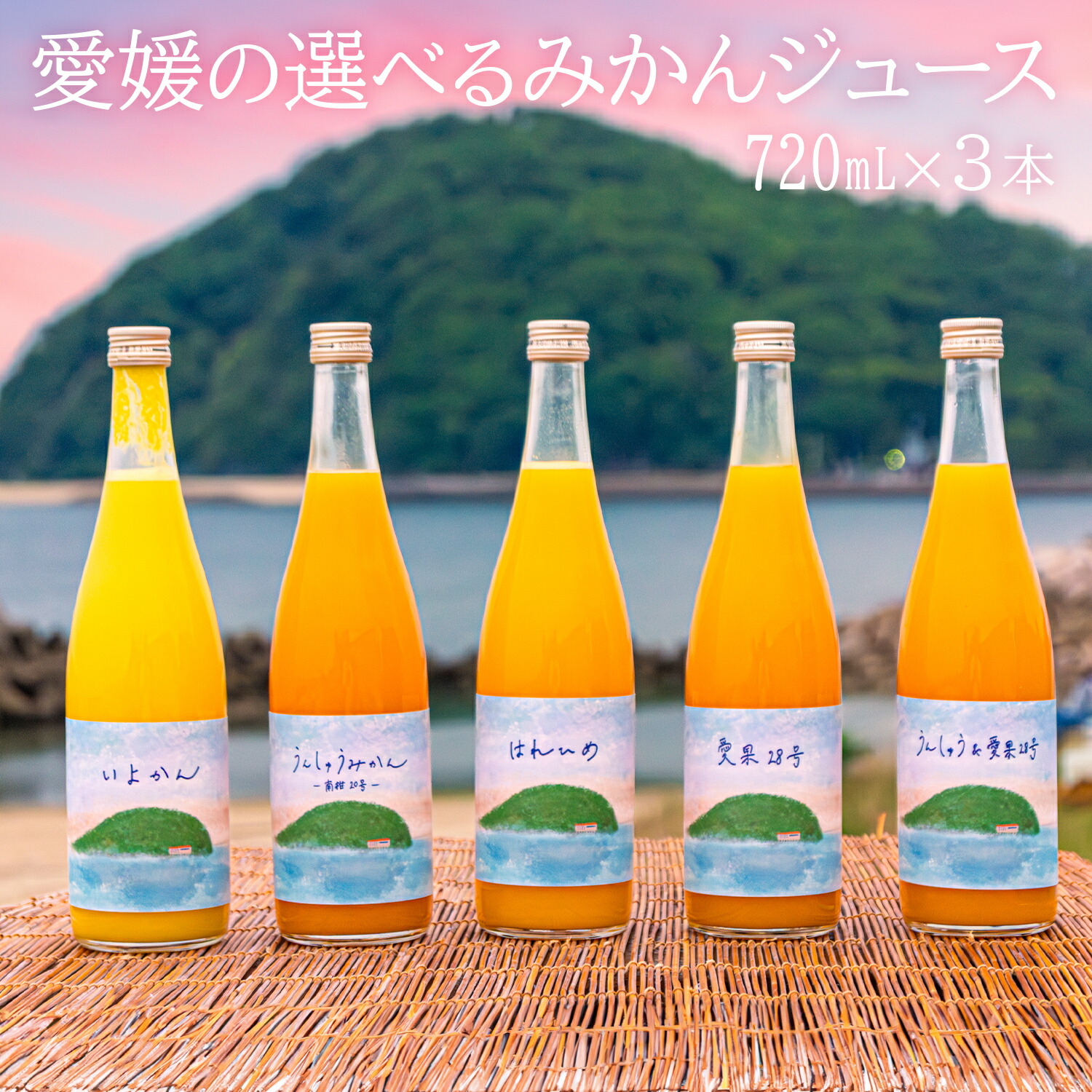 みかんジュース　4種類  12本 100％ストレート みかんジュース4種セット | 47CLUB – 名産