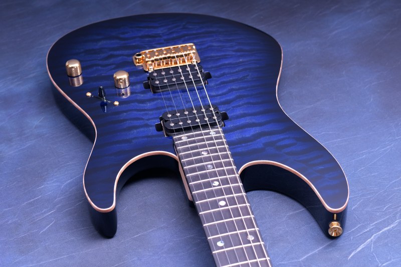 T S Prs Guitars Dst Pro 24 Ibanez 当店カスタムオーダーモデル 国産ハイエンド クロサワミュージックパラダイス エフェクター 当店カスタムオーダーモデル T S Prs Guitars Dst Pro 24 Ibanez 当店カスタムオーダーモデル 国産ハイエンド クロサワミュージックパラダイス エフェクター 当店カスタムオーダーモデル
