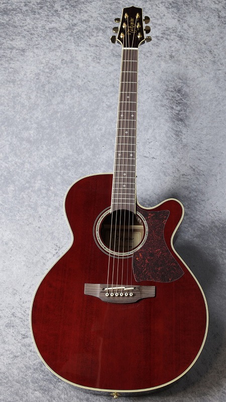 Takamine DMP551C WR ギター・ベース | velocityes.com