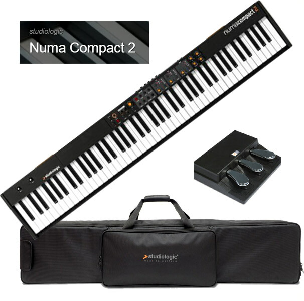 通販 Studiologic Numa Compact 2 islamkingdom.com