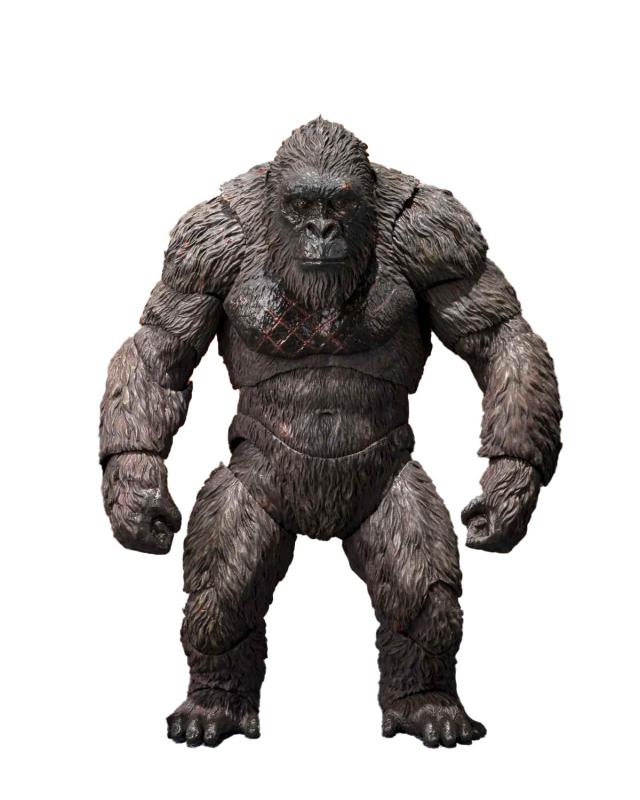魂ネイションズ SHMonsterArts ゴジラ対コング