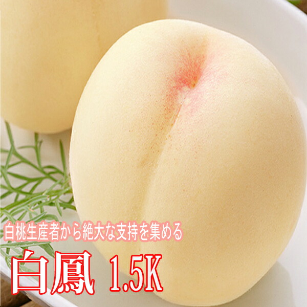 岡山白桃 白鳳 岡山産 1.5kg 約4玉～6玉 岡山桃 桃 もも お中元 贈答用 ギフト 秀品