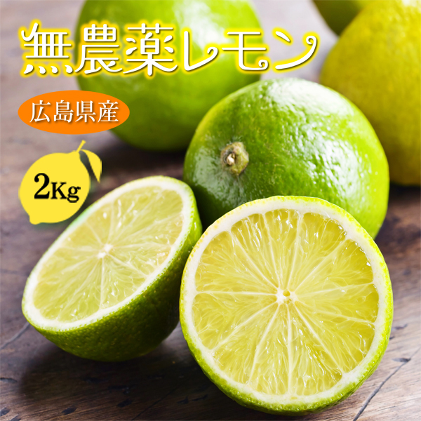 国産瀬戸田レモン農薬不使用12