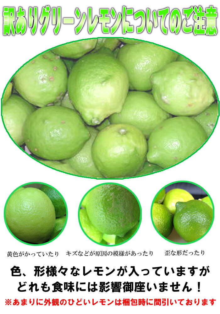 【訳ありレモン】5K広島県尾道市瀬戸田産【送料無料レモン】【広島レモン】【レモン】【国産レモン】【グリーンレモン】【レモン訳あり】
