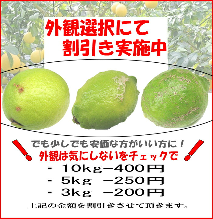 瀬戸田産有機栽培【訳ありエコレモン】5K【ノーワックス・防腐剤不使用】【瀬戸田レモン】【訳ありレモン】【減農薬レモン】【広島レモン】【国産レモン】【送料無料レモン】【有機栽培レモン】【レモン訳あり】
