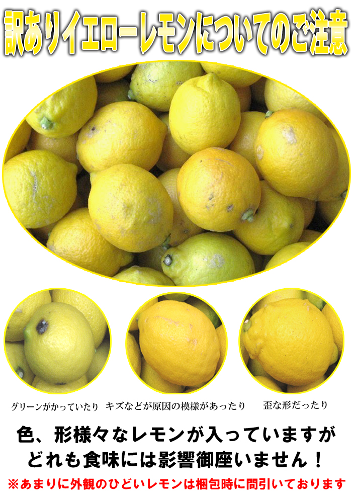 国産レモン　農薬不使用　瀬戸田　グリーンレモン