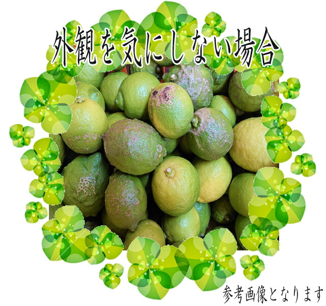 瀬戸田産有機栽培【訳ありエコレモン】5K【ノーワックス・防腐剤不使用】【瀬戸田レモン】【訳ありレモン】【減農薬レモン】【広島レモン】【国産レモン】【送料無料レモン】【有機栽培レモン】【レモン訳あり】