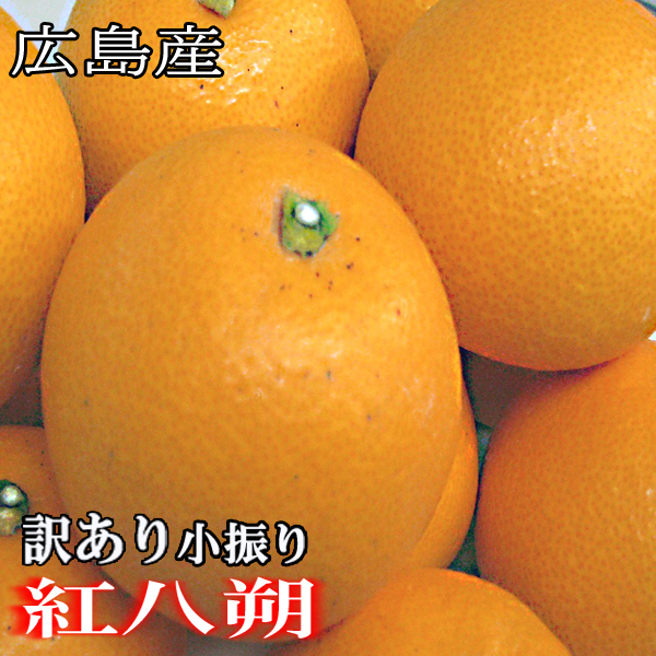 楽天市場】石地みかん 訳あり 10kg 広島 瀬戸田産 いしじみかん みかん