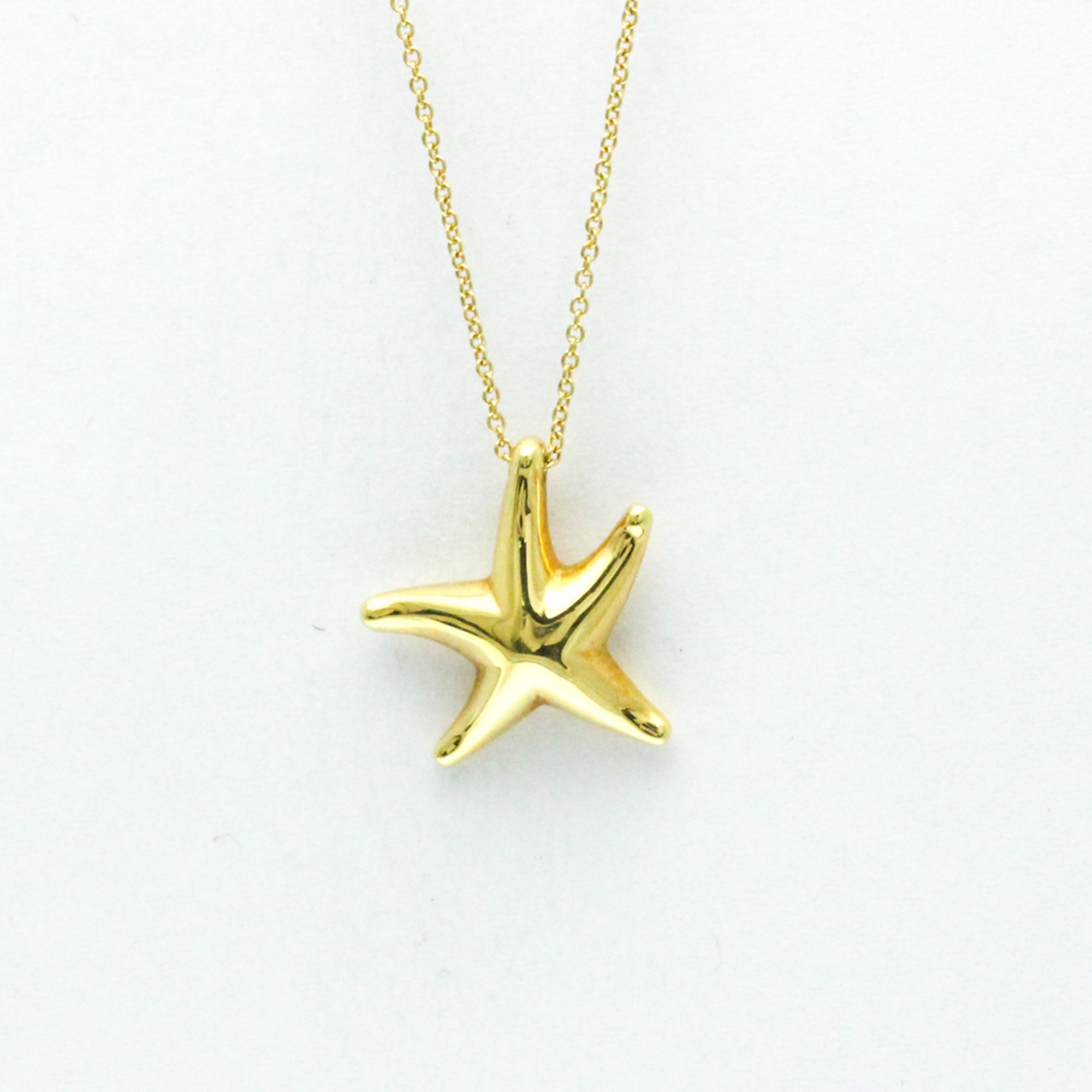 TEFFANY&Co.ティファニー　スターフィッシュ　ネックレス　シルバー925 60101257-1_wm.jpg
