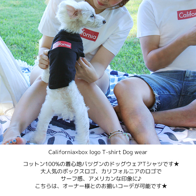 楽天市場 犬服 夏用 ボックスロゴ Tシャツ ドッグウェア わんちゃん わんこ ペット服 プリントtシャツ ロゴ クルーネック カジュアル アメカジ サーフ フェス お揃い リンクコーデ ペア ビーチ イベント ロック カリフォルニア 西海岸 犬 ボックスロゴtシャツ 西海岸