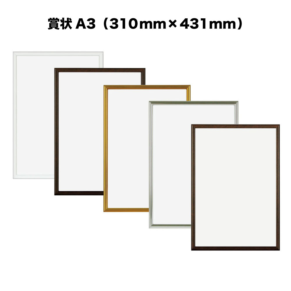 【３名枠非売品　新品未使用】色憑くモノクローム ポスター 3名枠非売品 新品未使用】色憑くモノクローム ポスター