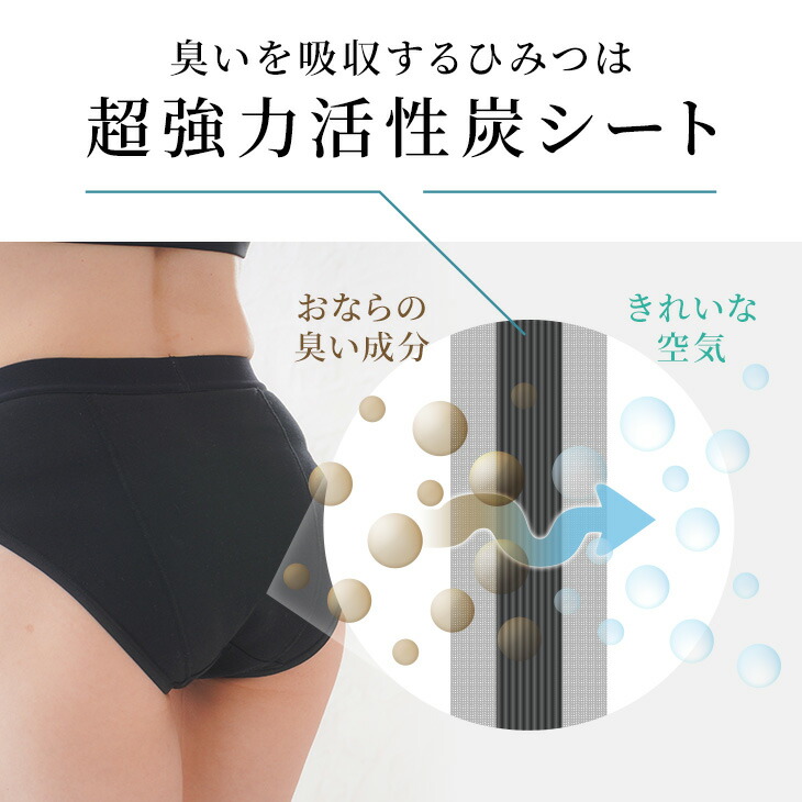 シュレディーズ おならパンツ 消臭パンツ 消臭下着 消臭ショーツ エチケットパンツ レギュラー レディース イギリス製 送料無料 Napierprison Com