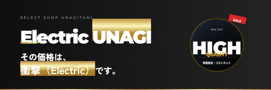 Electric UNAGI���ǿ����Ť�����!!