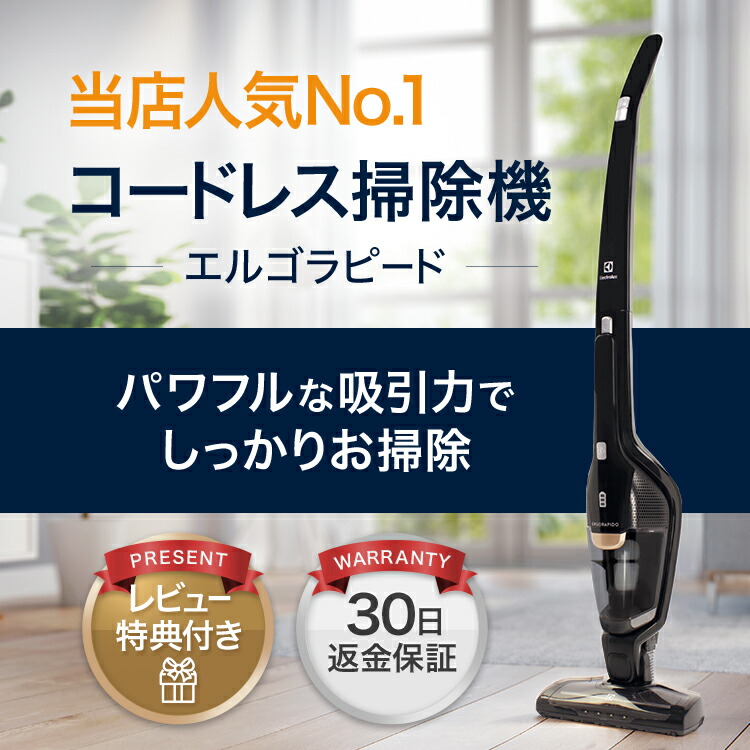 超特価SALE開催 Electrolux エレクトロラックス ハンディクリーナー