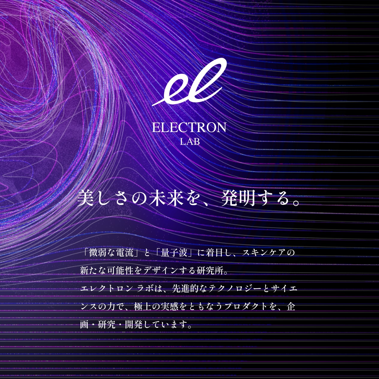 ELECTRON LAB 電気バリブラシ☆限定☆ セール割引 www.lagoa.pb.gov.br