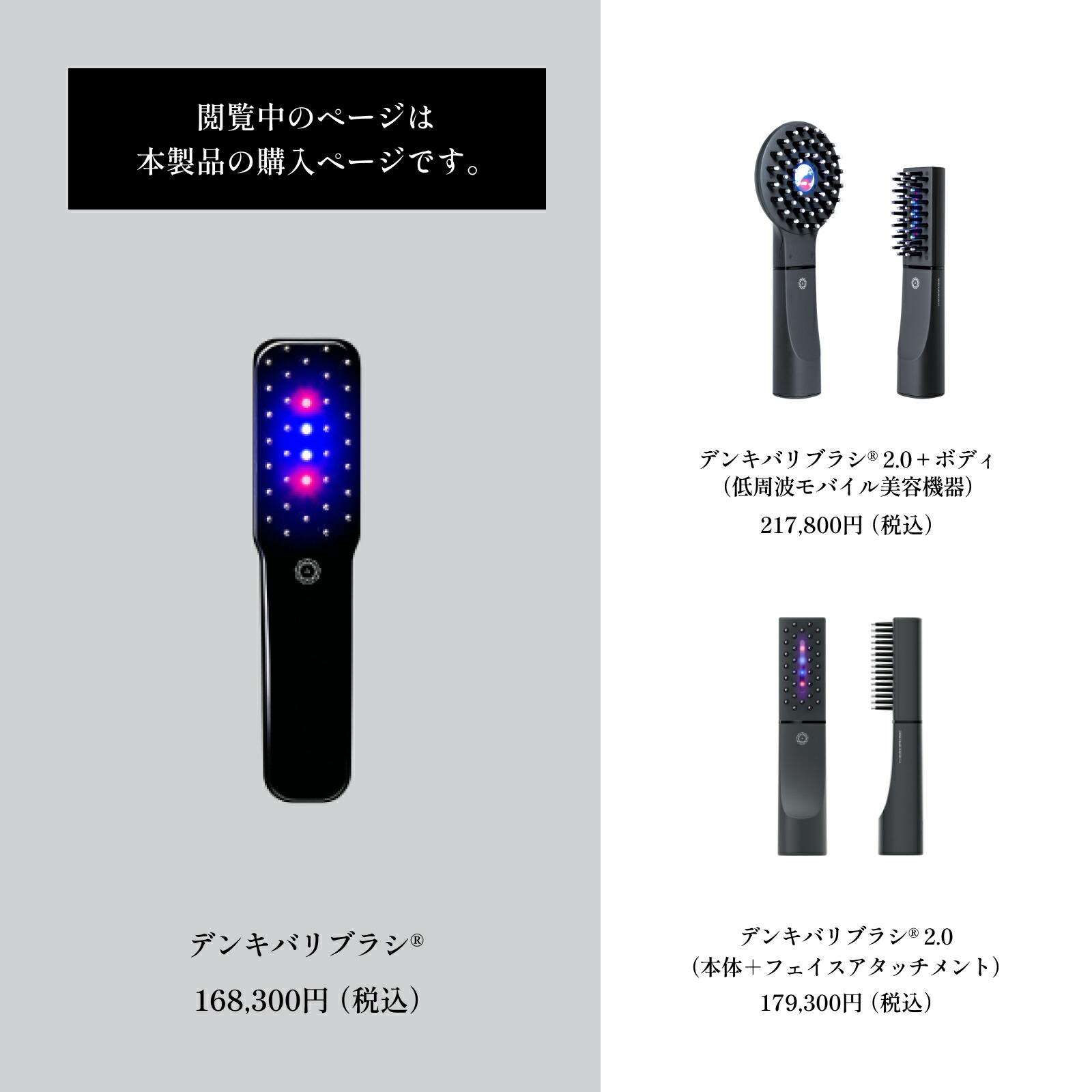 冬の華 デンキバリブラシ (R) 2.0＋ボディ 電気バリブラシ ケース付