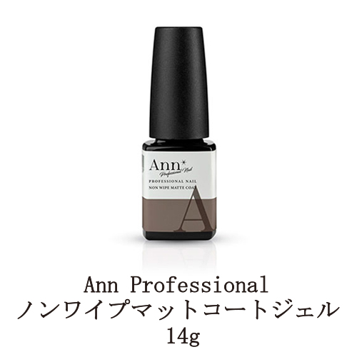 楽天市場】Ann Professional アンプロフェッショナル 艶 EX ノンワイプ