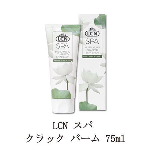 楽天市場】【最大3％OFF】 LCN ハンド クリーム グリーン ハンド