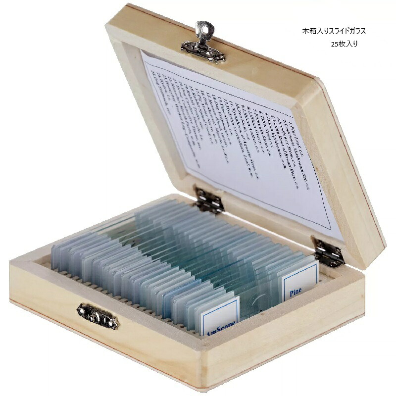 【最大3％OFF】 木箱入り スライドガラス 25枚 25mm×75mm 顕微鏡 プレパラート 角ガラス マイクロスコープ ガラスプレート ガラス板 標本 収納ケース付き 微生物 理科 科学 研究 観察 学習 知育 細胞 植物 実験道具 自然科学 サイエンス 透明 クリア AmScope 新品 送料無料