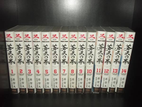 【P10倍 エントリー＋3個以上】 【最大3％OFF】 送料無料 新装版 デラックス版 ワイド版 ゼノン版 蒼天の拳 全14巻 原哲夫 武論尊 中古コミック 漫画 マンガ 全巻セット 【中古】画像