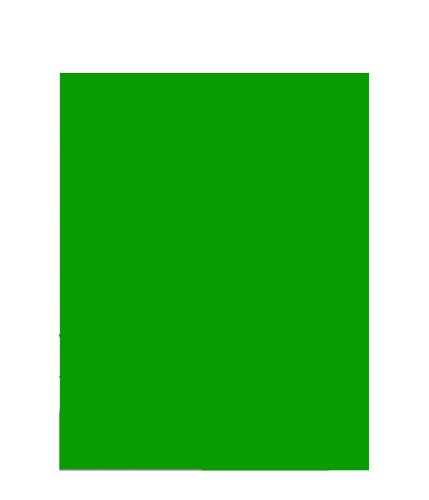 楽天市場 グリーンバック 撮影用 160 300 動画投稿 背景消し 背景布 グリーンスクリーン クロマキー合成 キーイング 合成写真 緑の布 バーチャル背景 テレワーク 新品 送料無料 Lエル