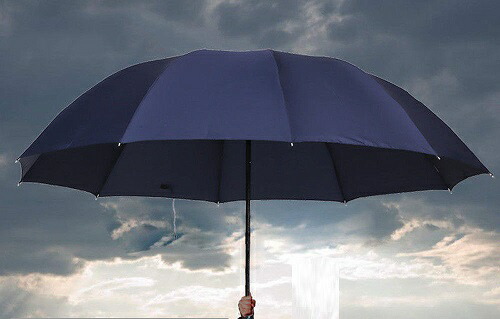 楽天市場】ランキング1位【即日発送】濡れずに助かる 大きいお出迎え傘