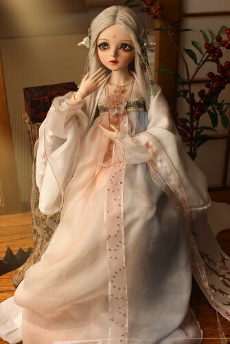 ドール Ada エイダ ウィッグセットパッケージ カスタム ギフト 関節可動ドール 人形 メイク済 Doll プレゼント 新品 送料無料 コレクション 洋服
