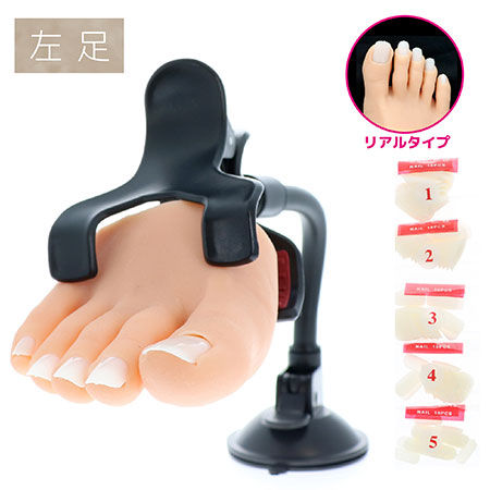 【最大3％OFF】 ビューティーネイラー BEAUTY NAILER プラクティスハーフフット リアル 左足 PFR-2 ネイル練習用 フットマネキン チップ差込式 ネイル ネイリスト ネイル用品 ネイルグッズ ネイリスト試験勉強 ネイルの練習 ネイルアートトレーニング 新品 送料無料