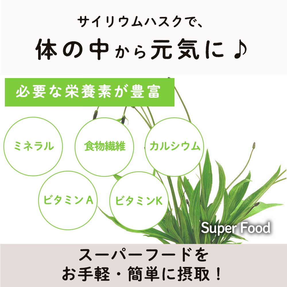 アウトレット送料無料】 Grace of Nature サイリウムハスク オオバコ パウダー 粉末 食物繊維 国内加工 インド産 200g  qdtek.vn