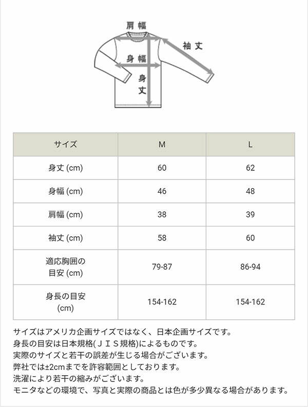 2021年製 送料無料 長袖 プルオーバー パーカー チャンピオン Champion レディース HOODED SWEATSHIRT ロゴ 裏毛  トレーナー スウェット スエット 20%off CW-K111 primashop.id