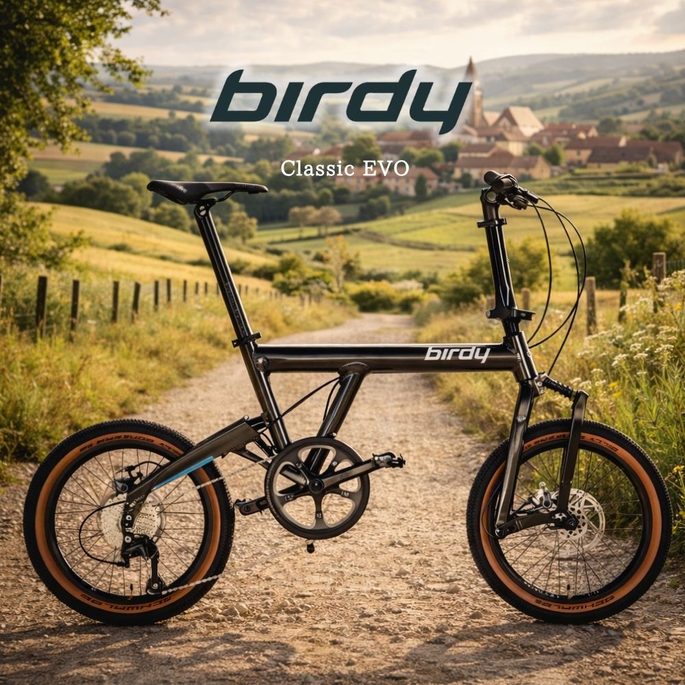 銀輪 Birdy Classic EVO バーディー 古典派音楽 エボ 折りたたみ銀輪 レコード盤打ちきり 18in グラベル 小みち車 カスタム相応う 通信販売能力のある 小みち車 ミニベロ 読み込む自動自転車 差し交わす自動自転車相応う エレファントサイクル 通い 通学