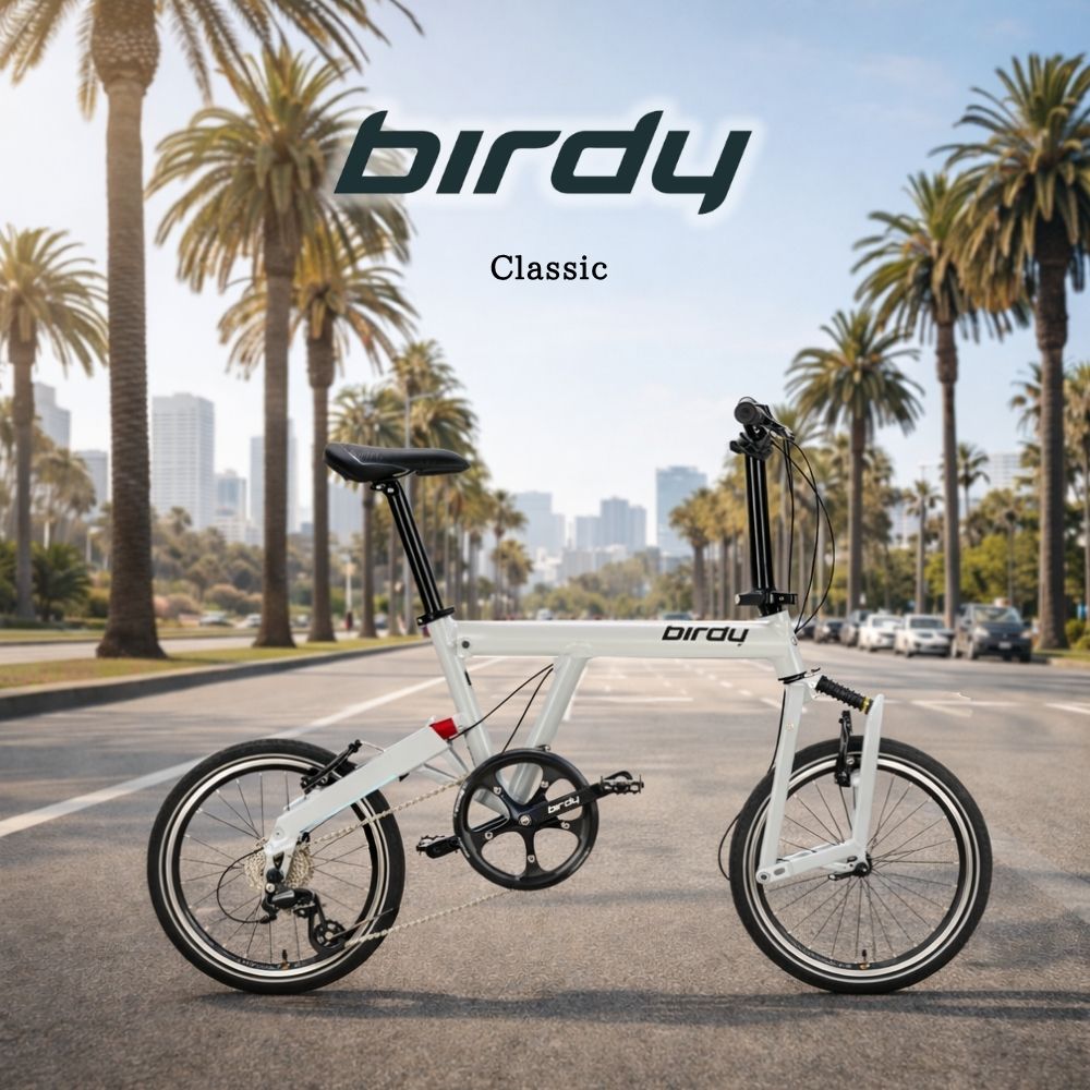 銀輪 Birdy Classic バーディー 古典派音楽 折りたたみ銀輪 レコード盤打ちきり 18in グラベル カスタム相応う 通信販売能力のある 小みち車 ミニベロ 読み込む自動自転車 差し交わす自動自転車相応う エレファントサイクル 通い 通学