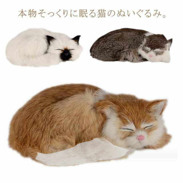 楽天市場】 動物 かわいい リアル 本物 ねこ 猫 子供 プレゼント
