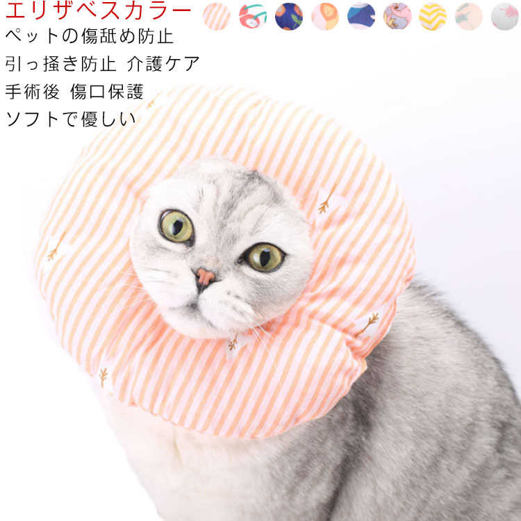 楽天市場】エリザベスカラー 犬猫兼用 ペット療養 傷口保護 介護