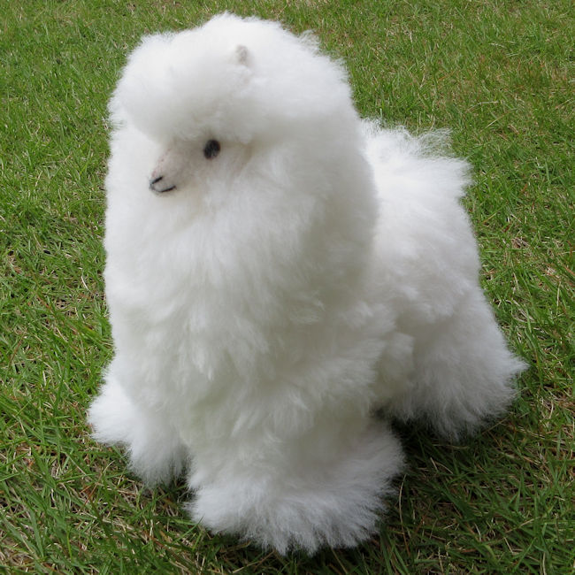 楽天市場】ぬいぐるみ ペンギン ベビーアルパカ 毛 天然素材 ペルー製