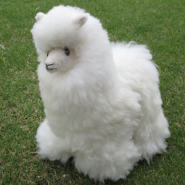 ペルー製　 ALPACA アルパカ　ワンピース 高級　Sサイズ ロイヤルアルパカ(Royal Alpaca)公式通販 | アルパカ・ピマコットンの