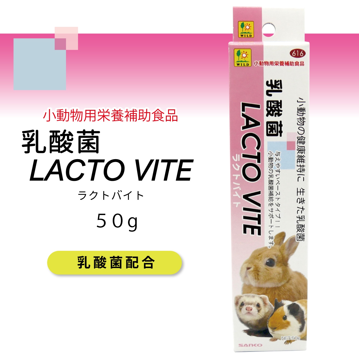 楽天市場】与えやすいペーストタイプ!!小動物の乳酸菌補給をサポートし