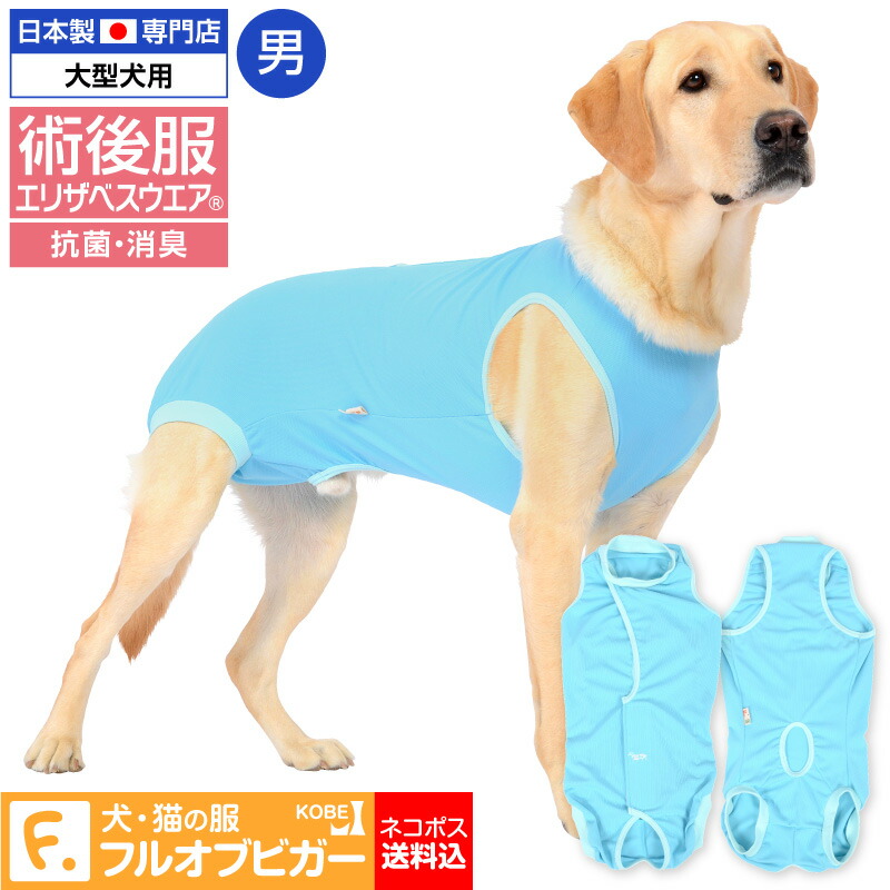 楽天市場 送料込 エリザベスカラーの代わりになる 獣医師推奨 犬用術後服エリザベスウエア R 男の子 雄 中型犬用 ネコポス値3 日本製 国産 避妊 去勢 乳腺腫瘍 柴犬 ビーグル テリア コリー 介護服 術後着 術後 手術 犬猫の服 Full Of Vigor
