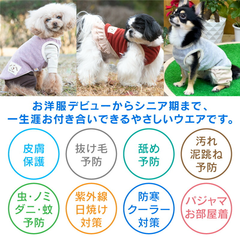 市場 送料込 メランジストレッチニットタンク 犬服 ドッグウエア 2022年冬春新作 国産 ネコポス値2 ダックス 小型犬