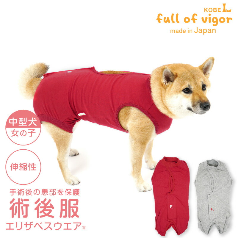 楽天市場】エリザベスカラー の代わりに 中型犬 服 夏 春 中型犬