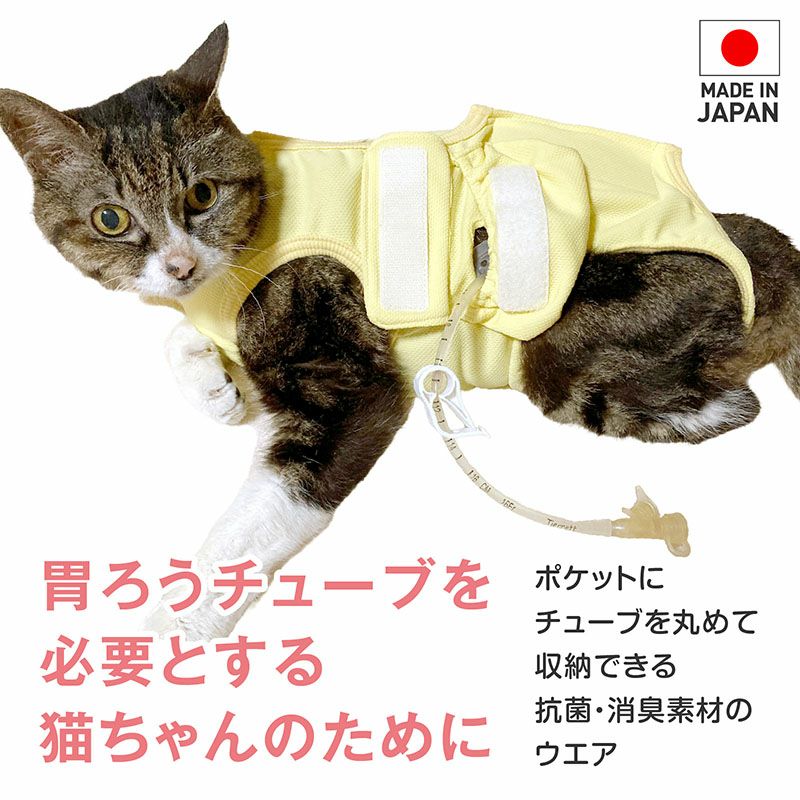 ARCH 05 & 06 犬猫の皮膚まるまる検査・薬剤 2017 獣医　本 獣医病理学実習マニュアル〈第3版〉 | 基礎獣医学,病理学 | 株式