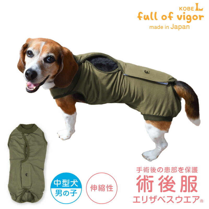 犬服・アクセサリー atelierGG Atelier-GG (@atelierg.g) • Instagram photos and videos