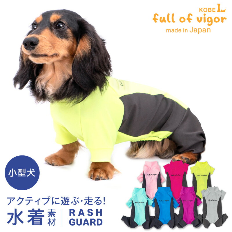 フィジー2022年ドック草原を駆け抜ける犬1オンス新品カプセル入り フィジー2022年ドック草原を駆け抜ける犬1オンス新品カプセル