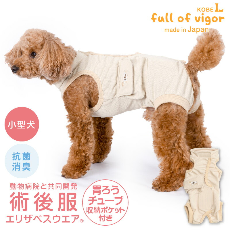 最新犬の新生子診療マニュアル 最新犬の新生子診療マニュアル新 モデル