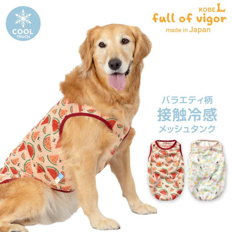 【Ma】犬服タンクトップ m】犬服タンクトップ muum】犬服 ドット柄 タンクトップ/犬服