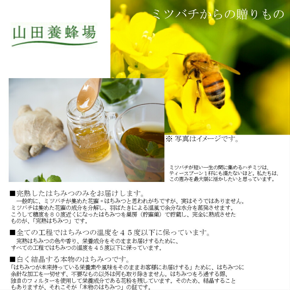 【楽天市場】山田養蜂場 国産の蜂蜜 3本セット：贈りもの専科エレガ